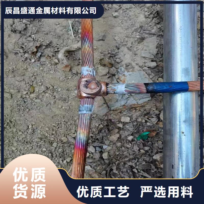 接地铜绞线TJ-500平方%换流站接地专用