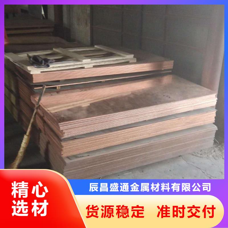 【等电位接地铜皮30*3】厂家