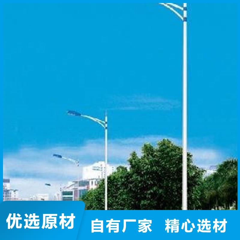 路灯批发价格led路灯造型定制星河路灯生产厂家批发