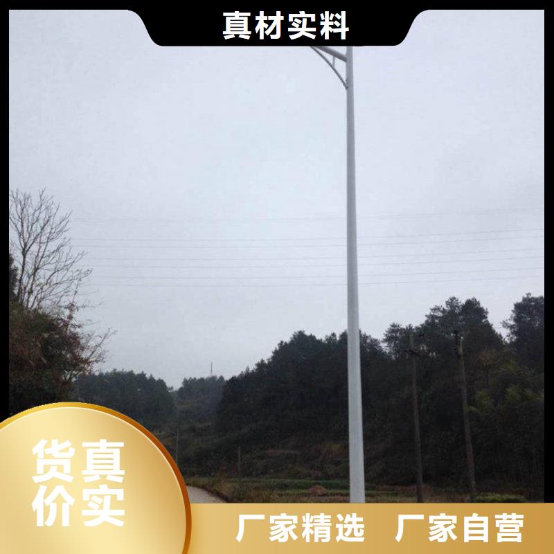 球场灯投光灯星河路灯路灯厂家