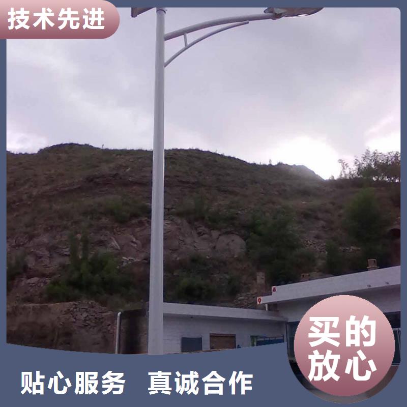 水底灯射树灯星河路灯路灯厂家