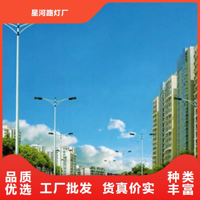 路灯批发价格6米7米8米路灯星河路灯生产厂家批发