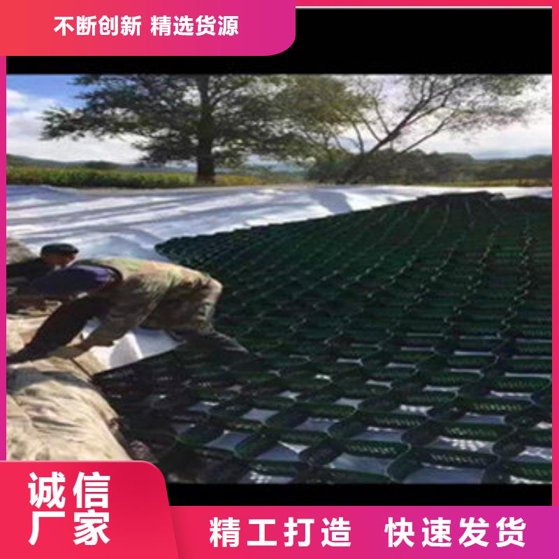 南县蜂巢格室销售中心