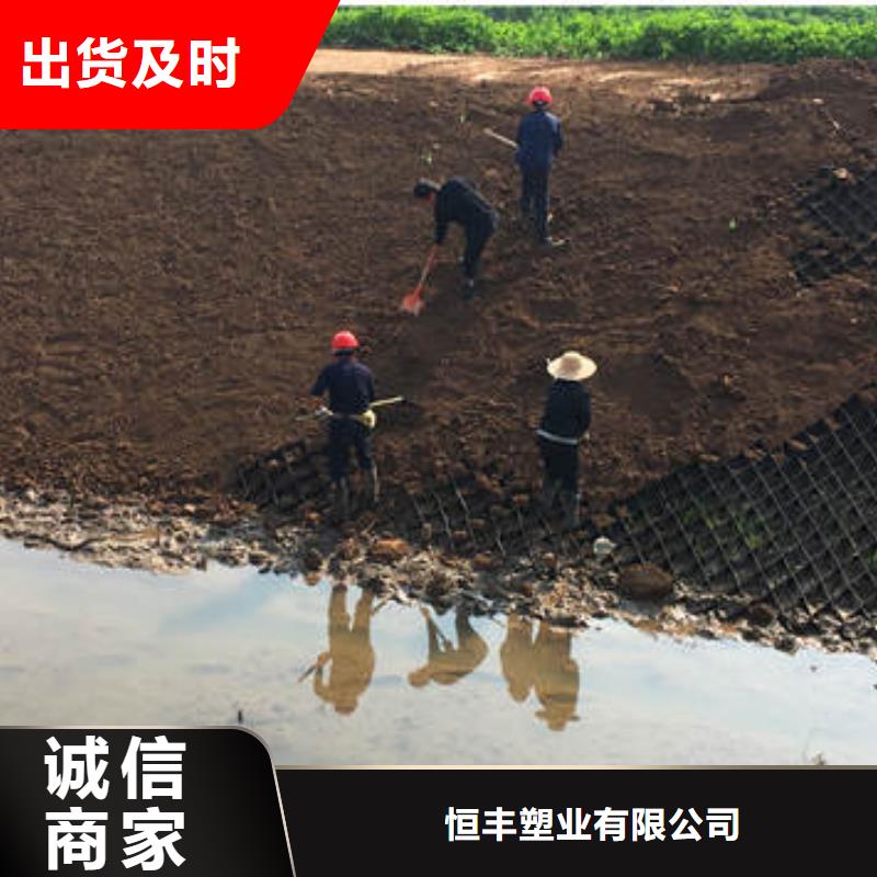 优质的蜂巢格室供货商