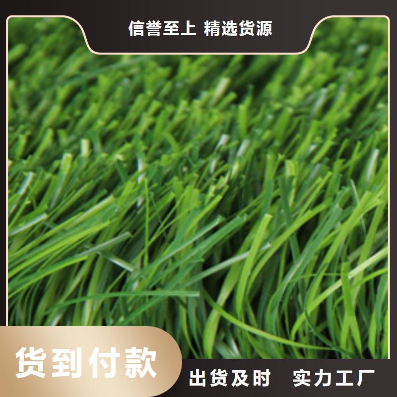 人造草坪塑胶地板适用范围广