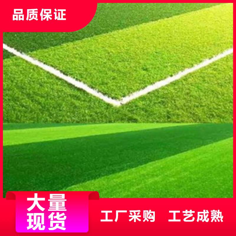 人造草坪体育器材产地直供