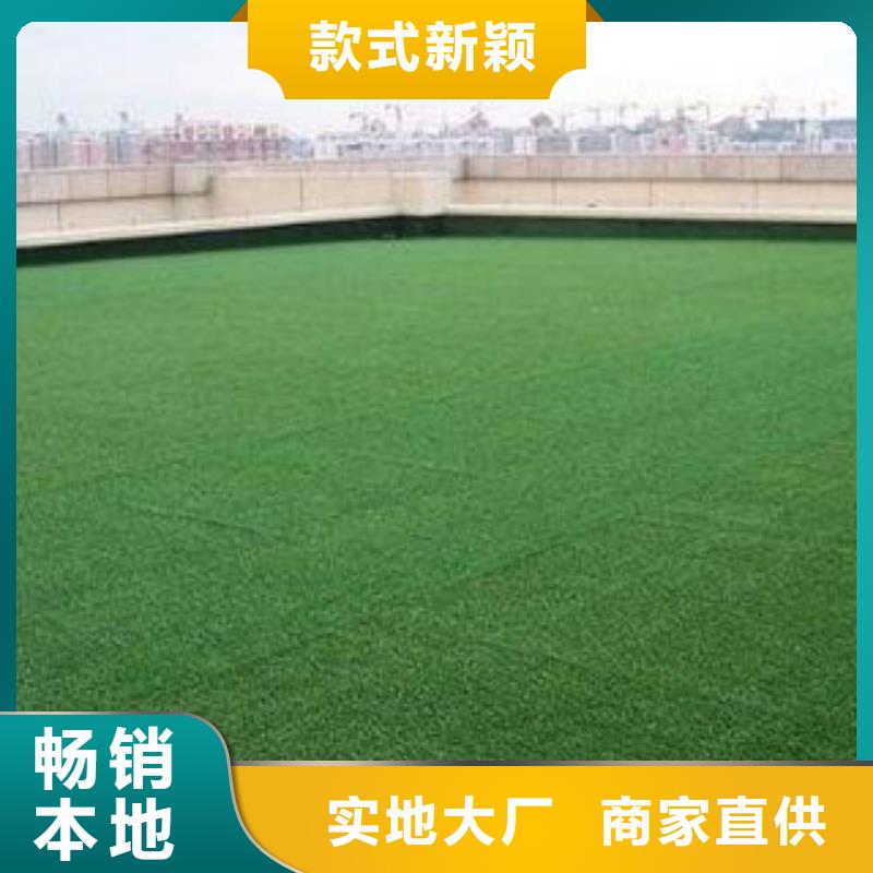 人造草坪篮球架源厂直接供货