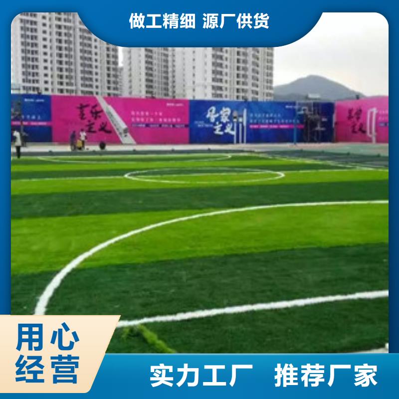 人造草坪体育器材产地直供