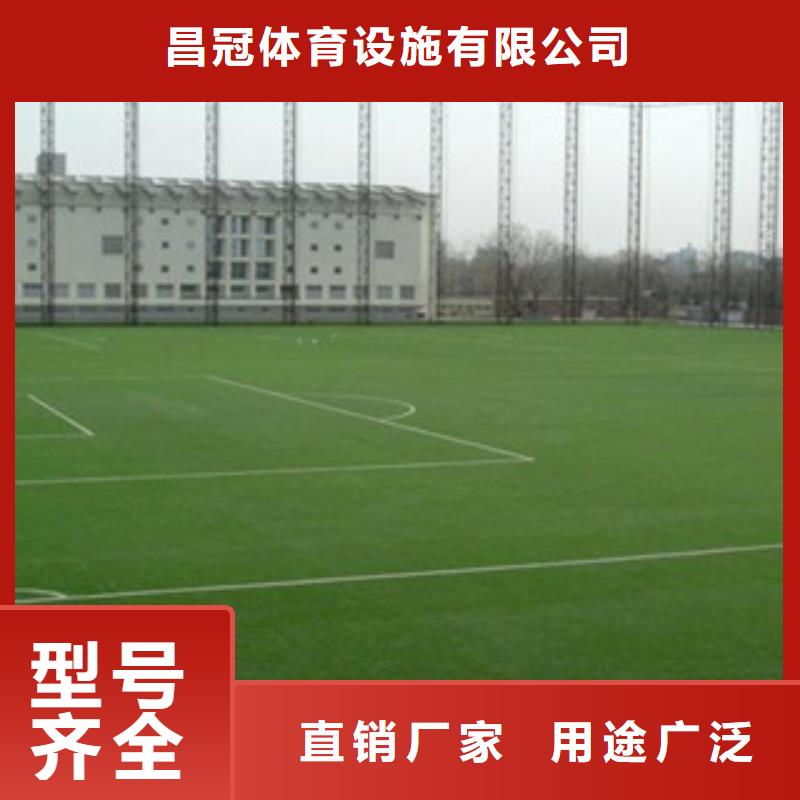 人造草坪体育器材产地直供