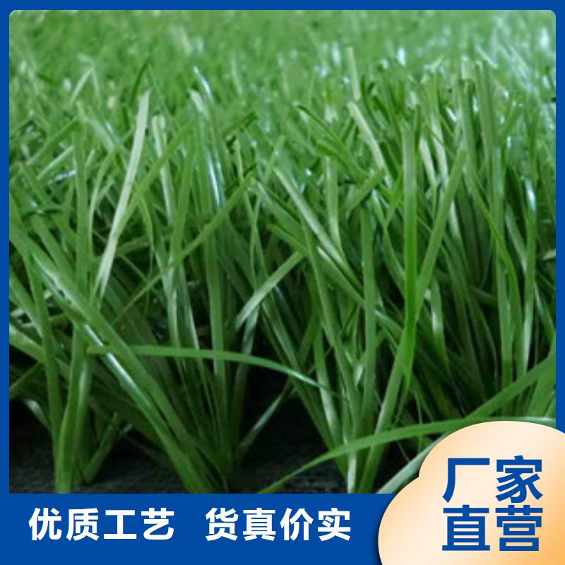 人造草坪_硅pu球场生产经验丰富