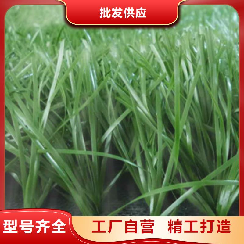 人造草坪室外健身器材海量现货直销