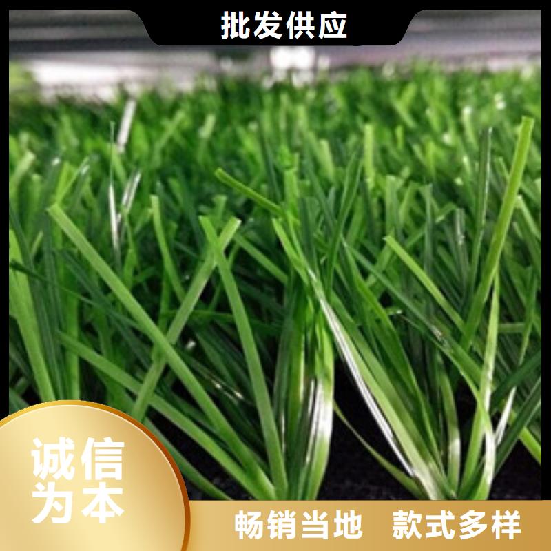 人造草坪篮球架源厂直接供货