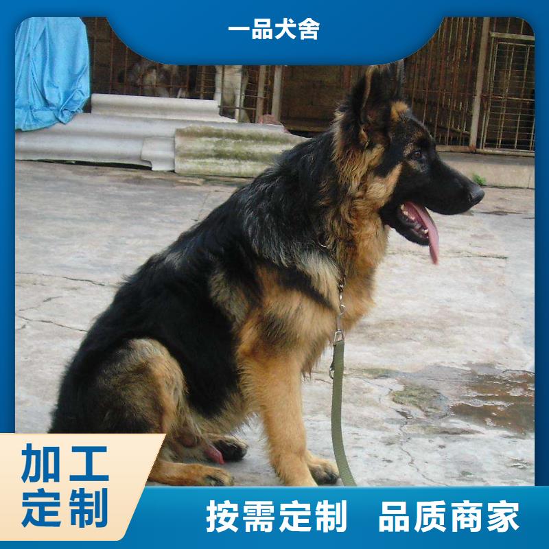 德国牧羊犬,比特犬货品齐全
