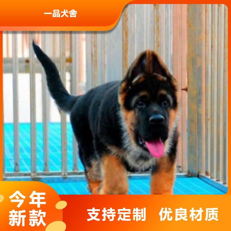 【德国牧羊犬】黑狼商家直供