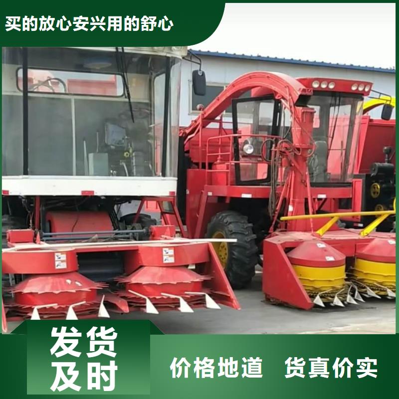 青储机_卡斯罗犬优质原料