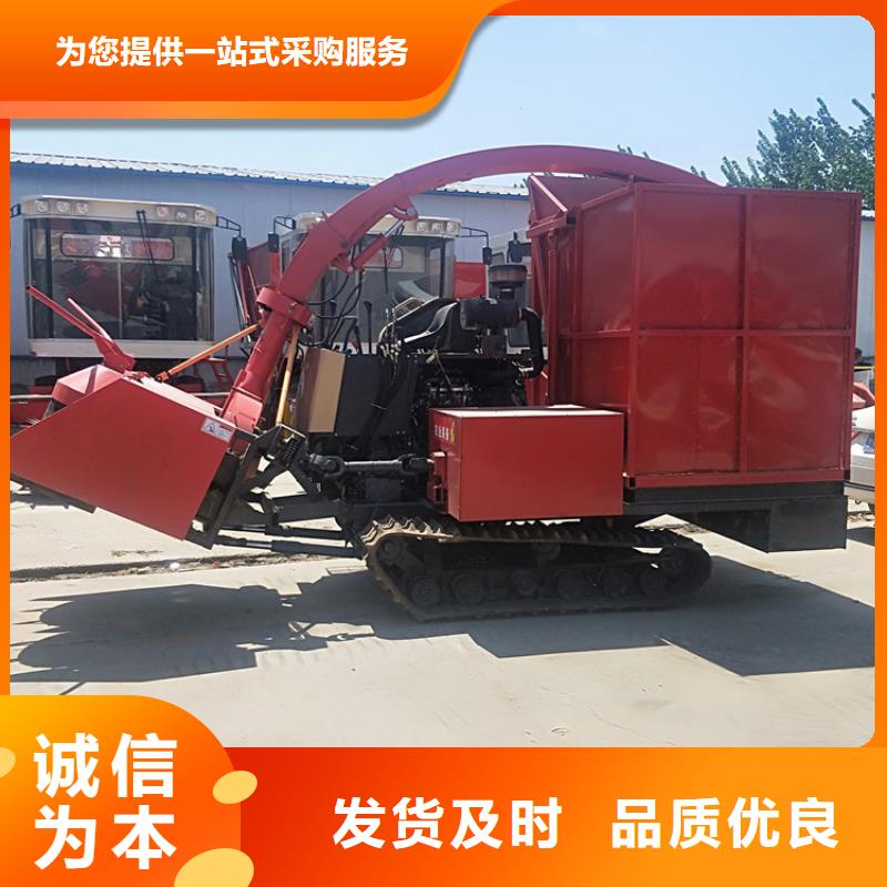 青储机_杜宾犬支持大小批量采购
