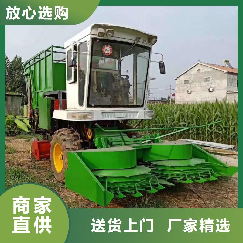 青储机杜高犬高品质诚信厂家