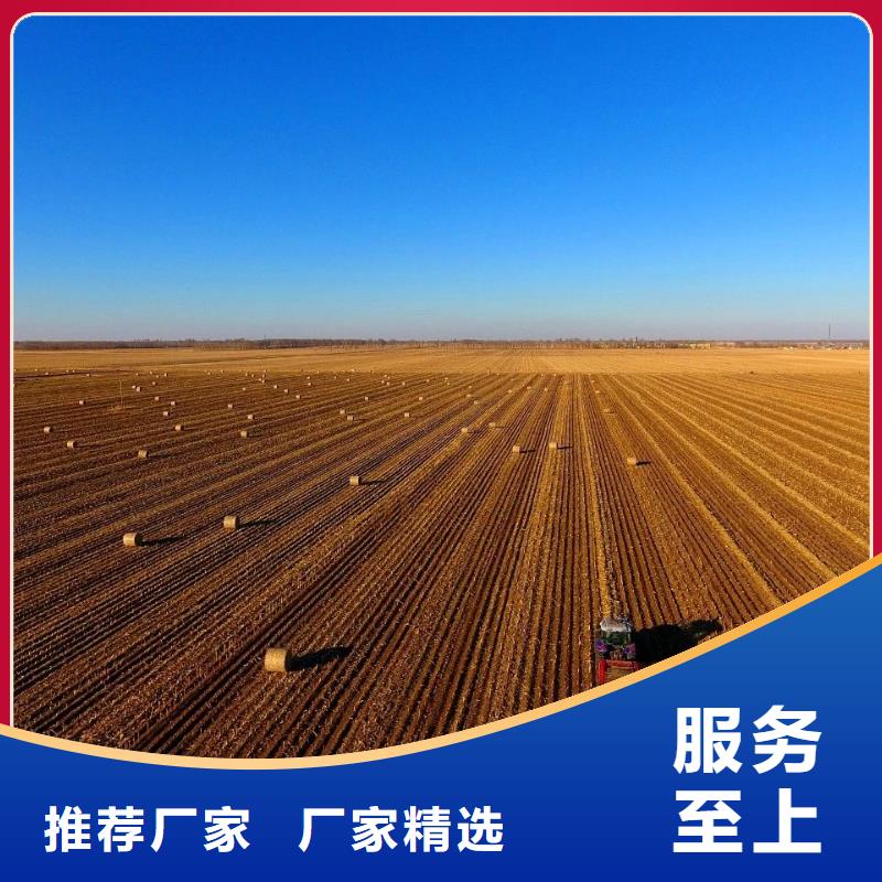 打捆机杜宾犬批发价格