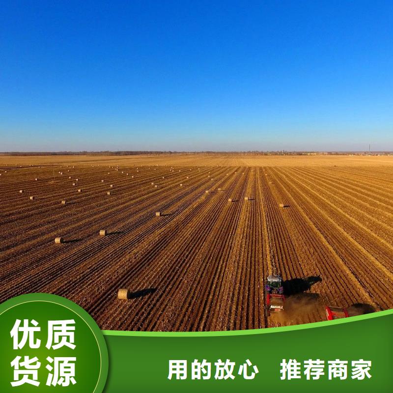 打捆机德牧犬源头工厂量大优惠