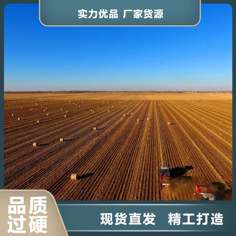 打捆机杜高犬专业生产团队