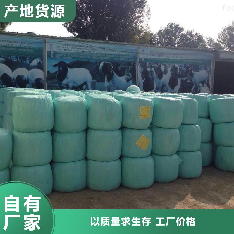 打捆包膜机拉布拉多犬源厂直销
