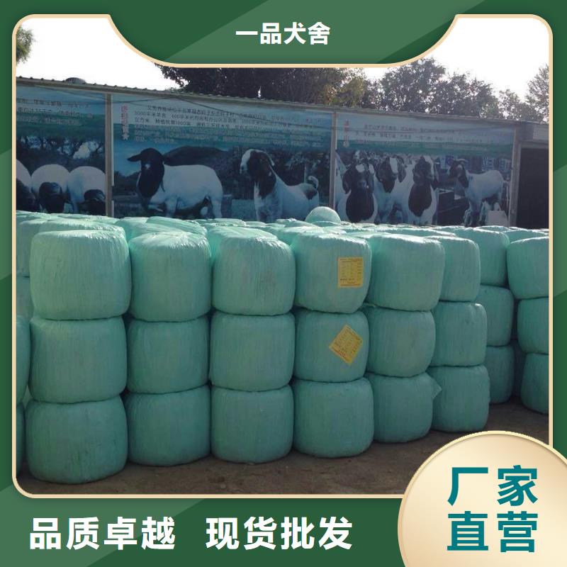 打捆包膜机罗威纳犬品质无所畏惧