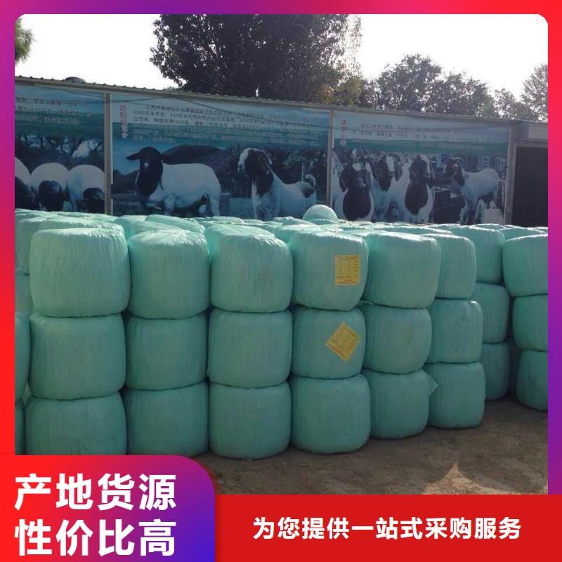 打捆包膜机【杜高犬】工厂现货供应