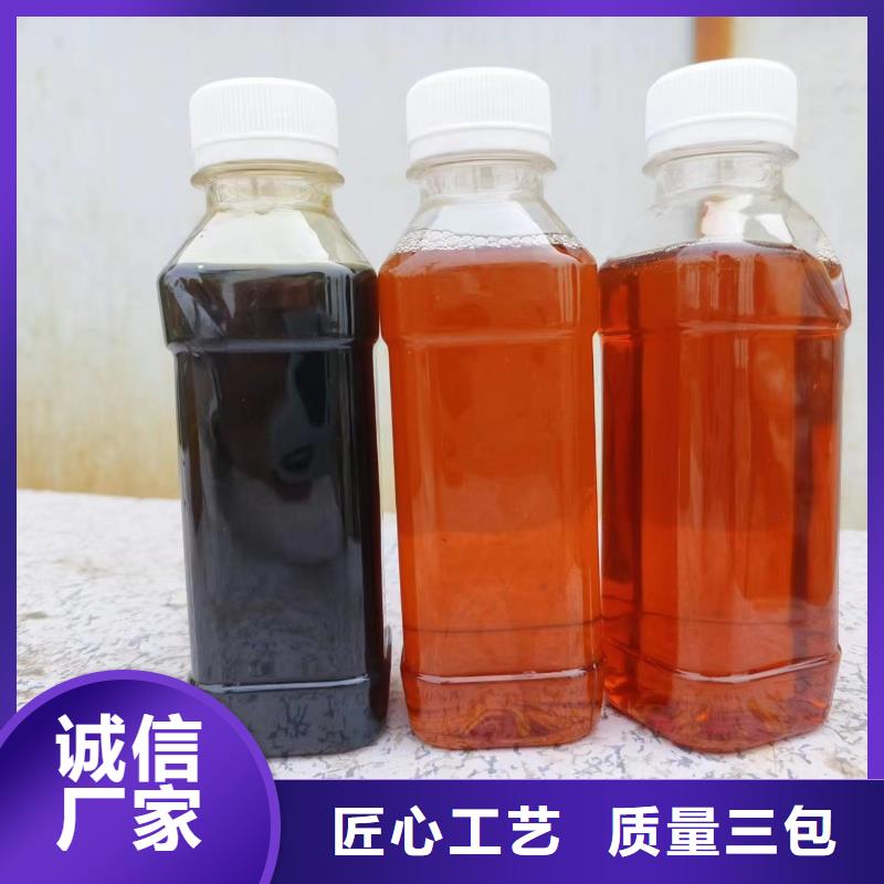 液体碳源实体大厂团队