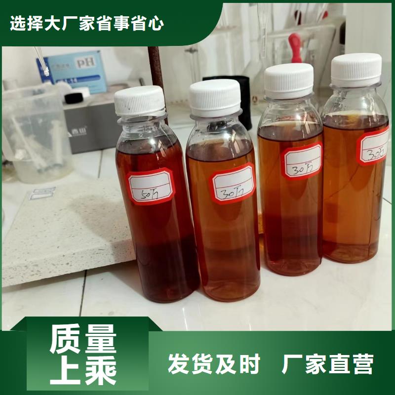 液体碳源实体大厂团队