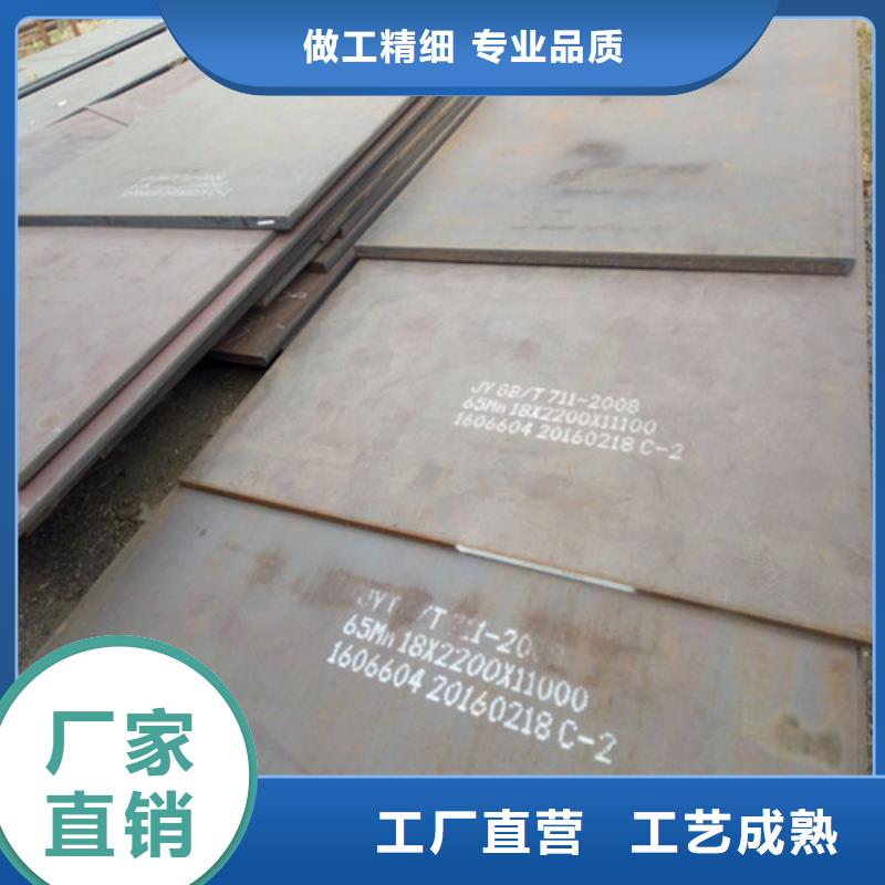 弹簧钢板进口耐磨板品质过硬
