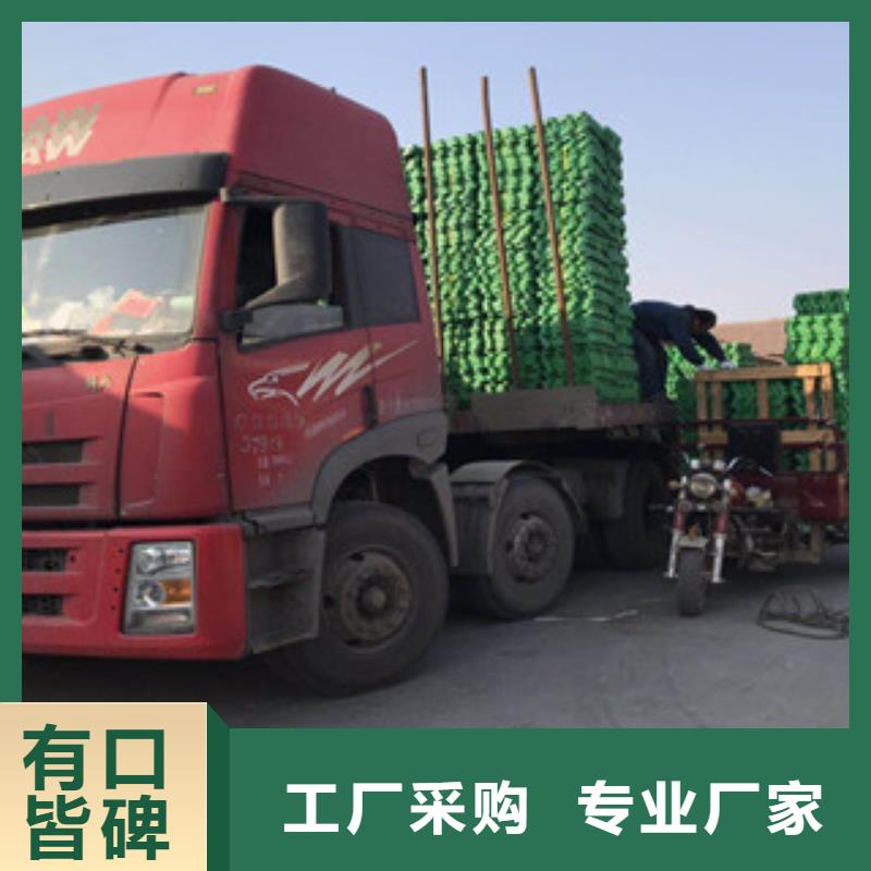 【环保植草格】,膨润土防水毯厂家客户信赖的厂家