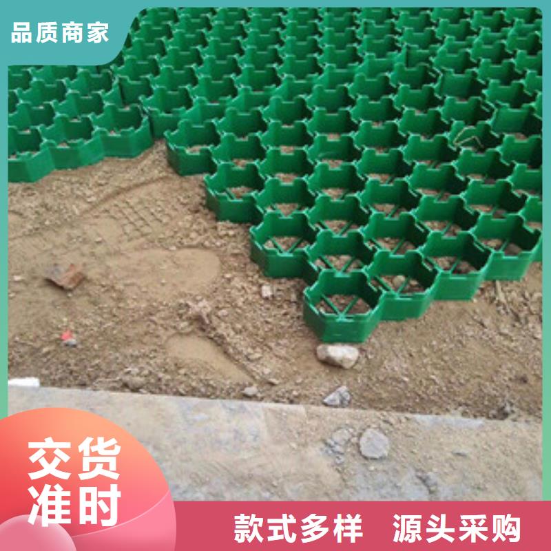 环保植草格土工布厂家随到随提