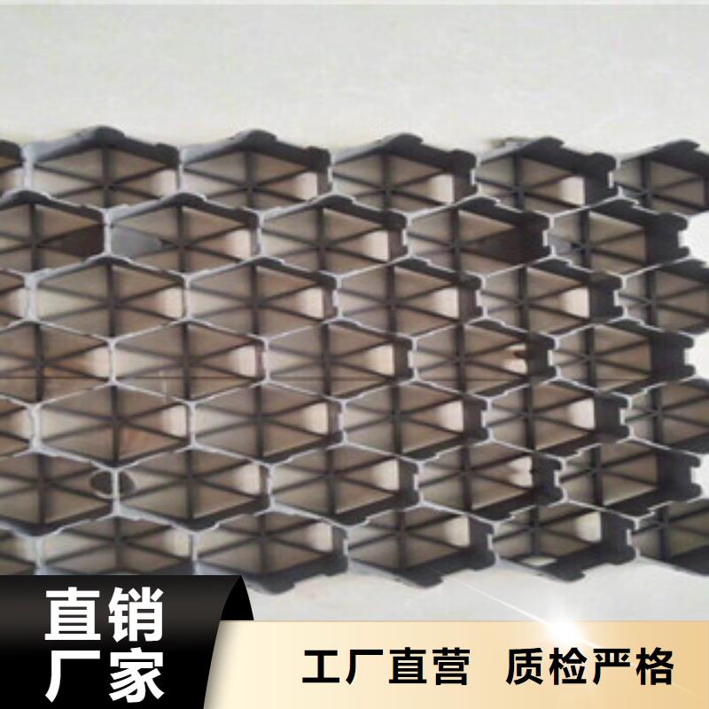 【环保植草格】膨润土防水毯厂家专业信赖厂家