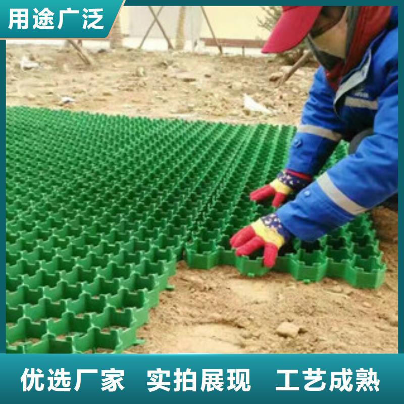 环保植草格-土工膜厂家高标准高品质