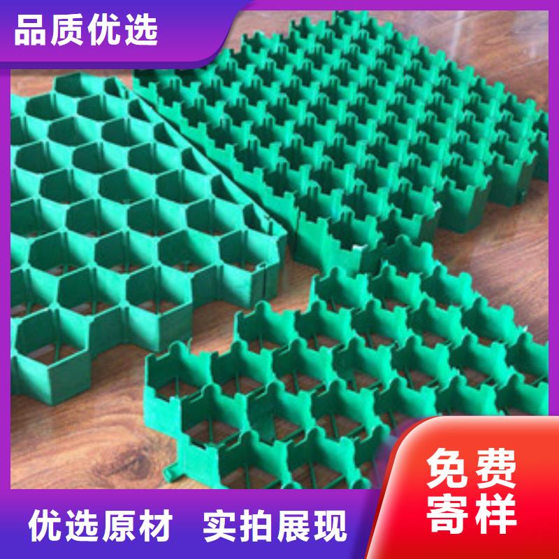 环保植草格【植草格厂家】价格实在