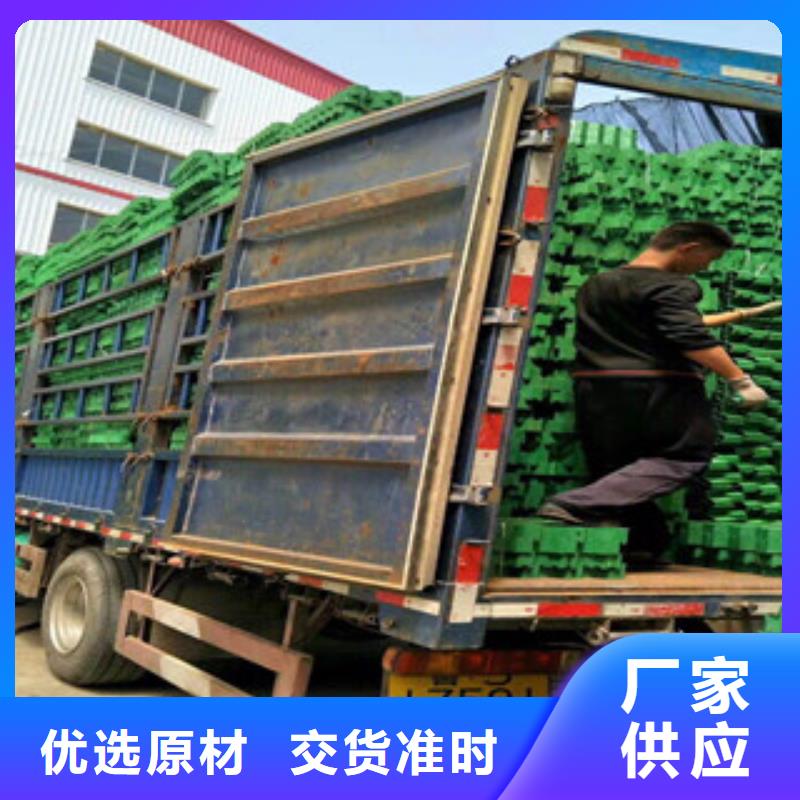 环保植草格-排水板厂家精益求精