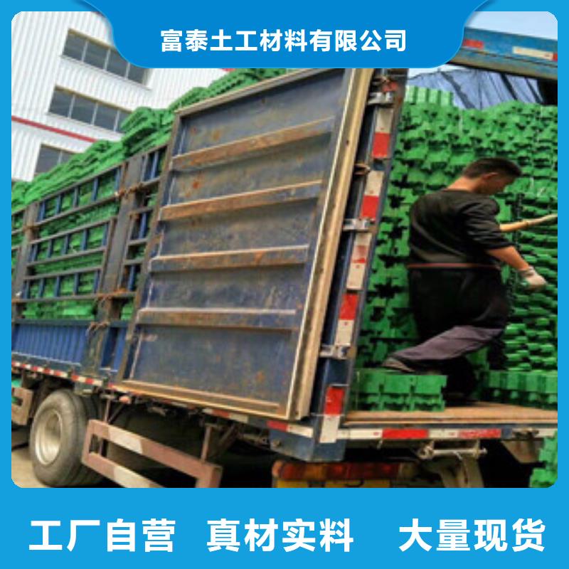 环保植草格_排水板厂家专注产品质量与服务