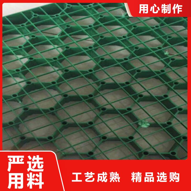 环保植草格【植草格厂家】价格实在