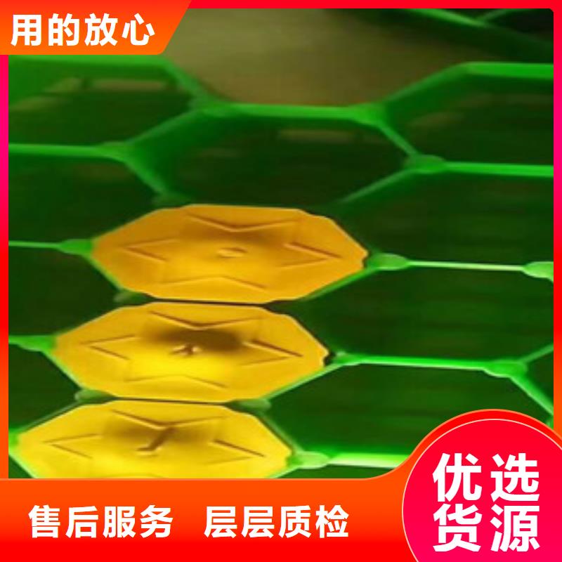 环保植草格土工布厂家随到随提