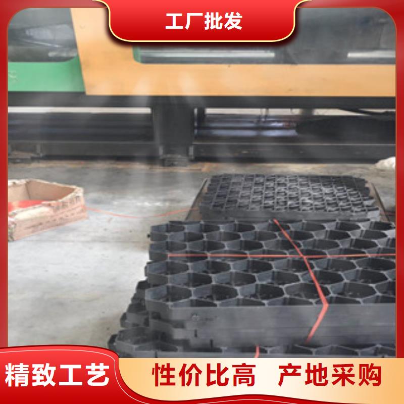 环保植草格-排水板厂家精益求精