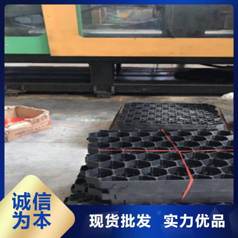 【环保植草格】膨润土防水毯厂家专业信赖厂家