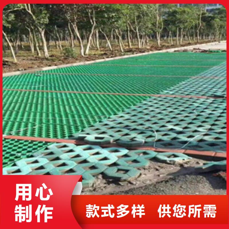 环保植草格【植草格厂家】价格实在