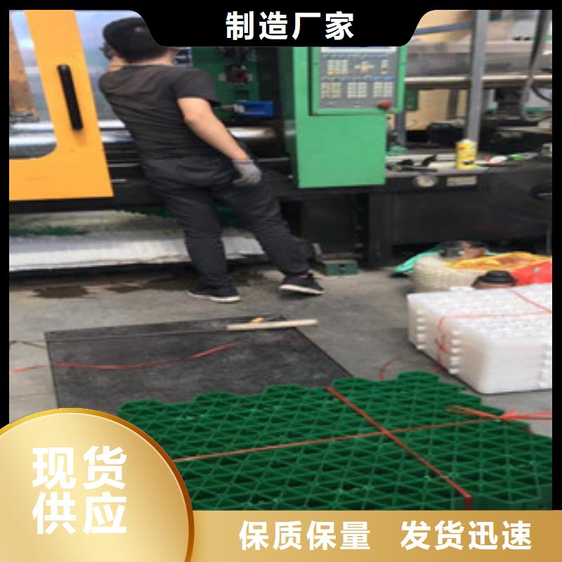 环保植草格-排水板厂家精益求精