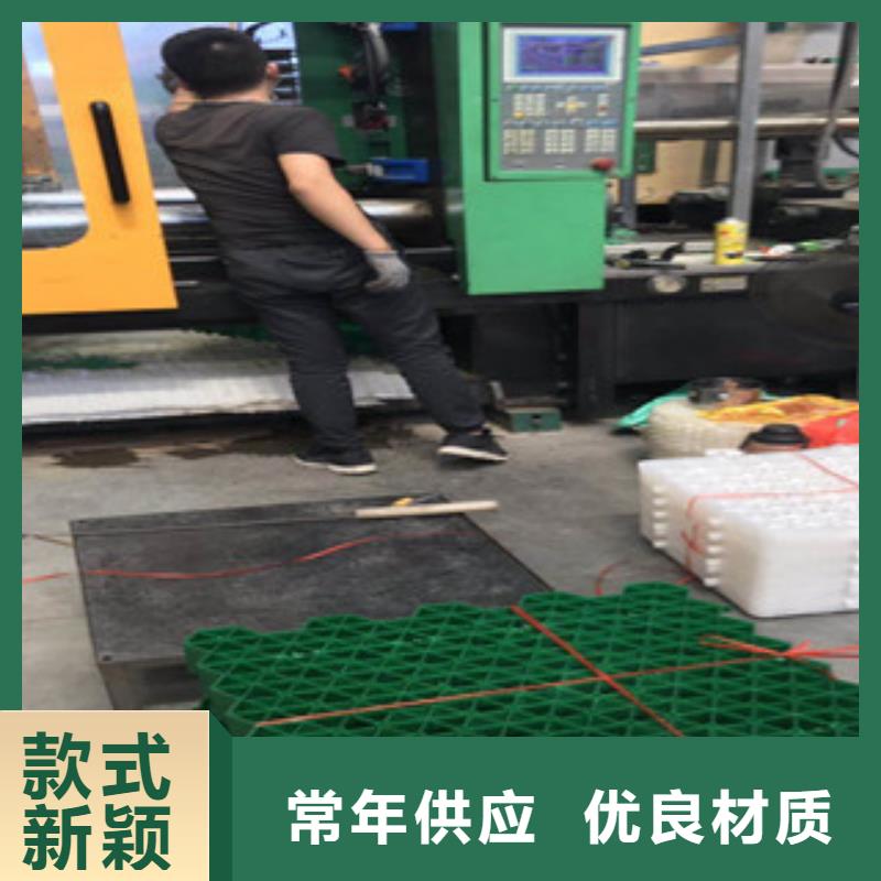环保植草格-土工膜厂家高标准高品质