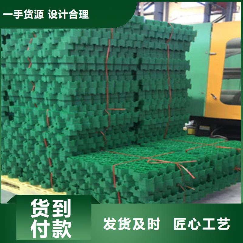 环保植草格-蓄排水板厂家实体诚信厂家