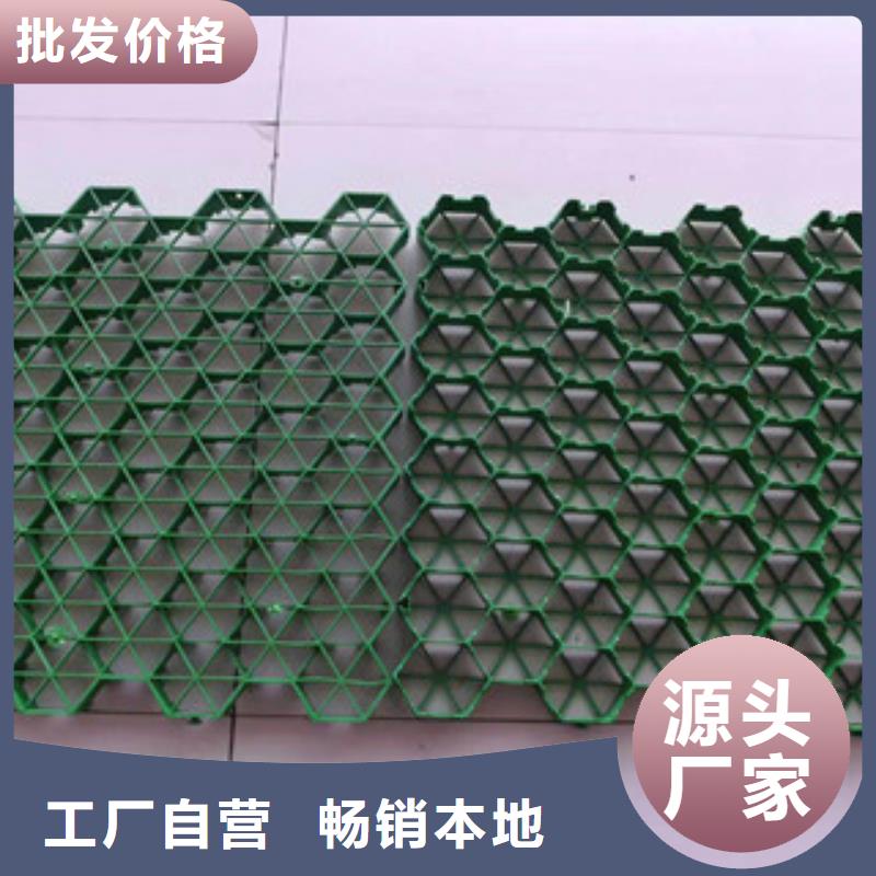 环保植草格_排水板厂家专注产品质量与服务