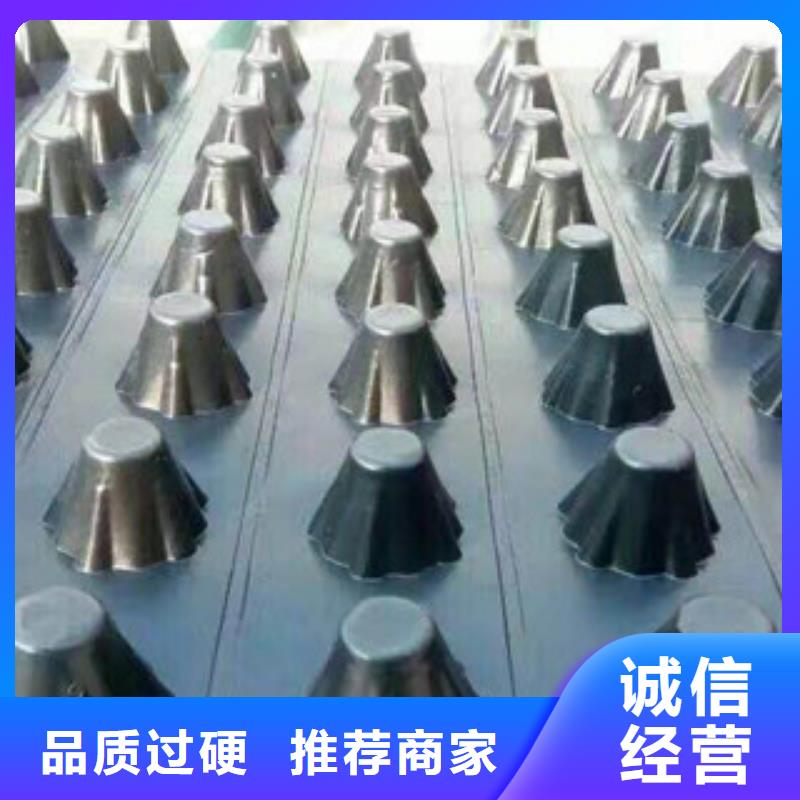 塑料排水板膨润土防水毯厂家专业生产厂家