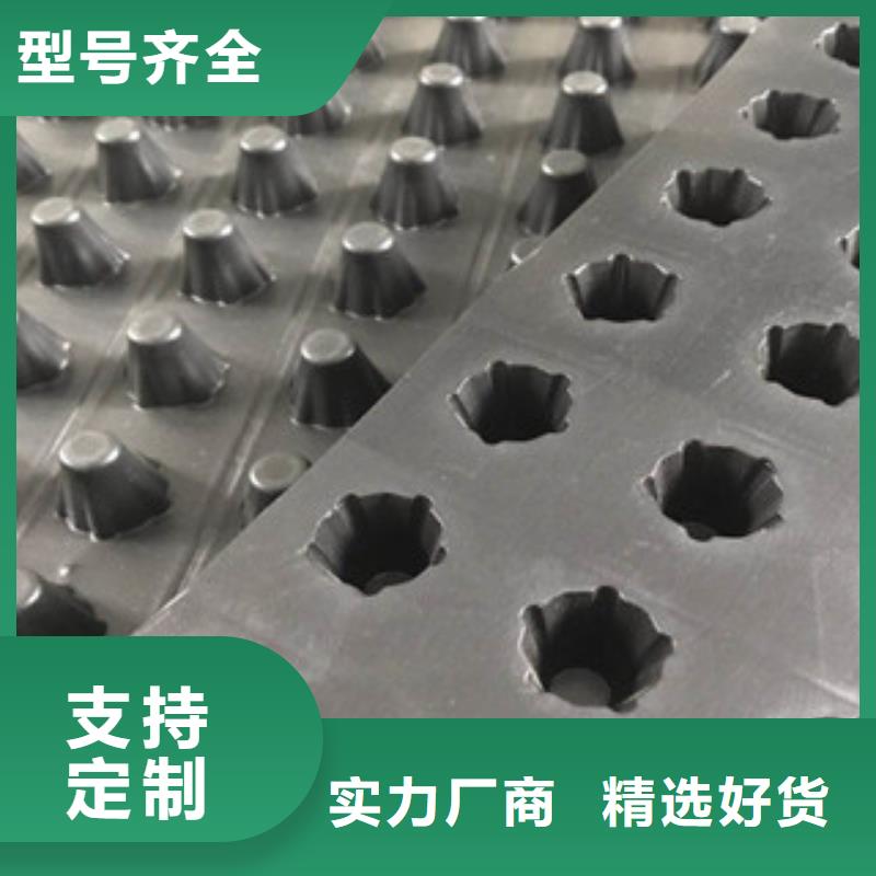 塑料排水板土工布厂家精工打造
