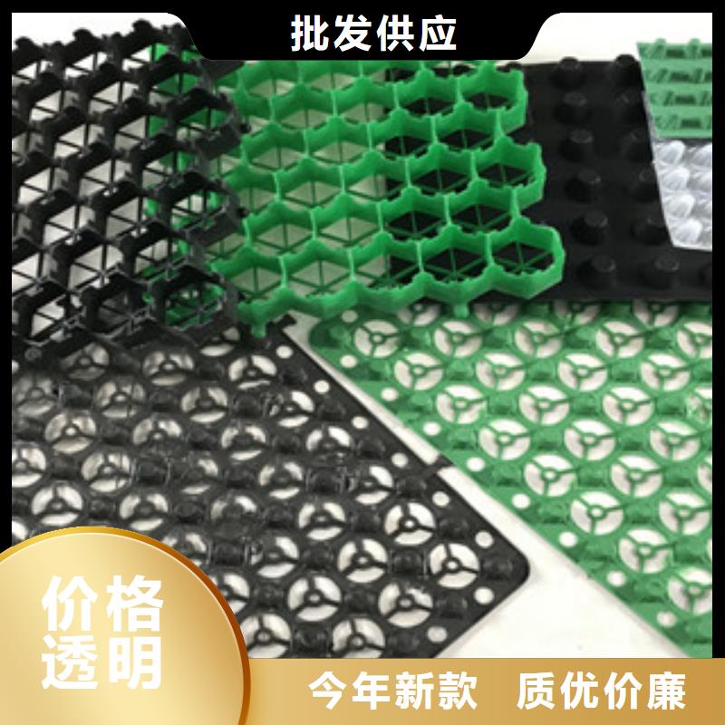 塑料排水板膨润土防水毯厂家专业生产厂家