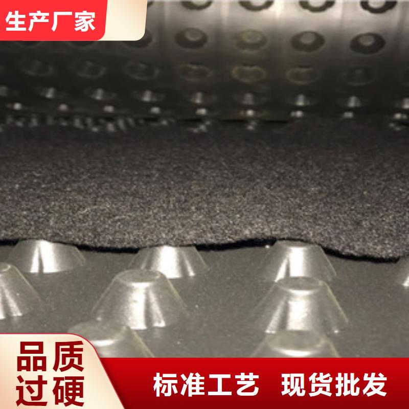 塑料排水板-虹吸排水槽厂家厂家供应